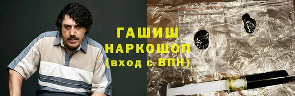 гидра Богданович