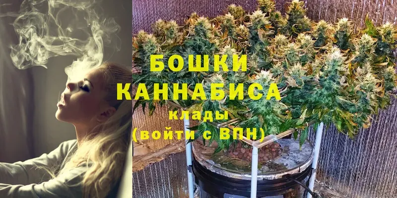 Конопля тримм  купить наркотик  Севастополь 